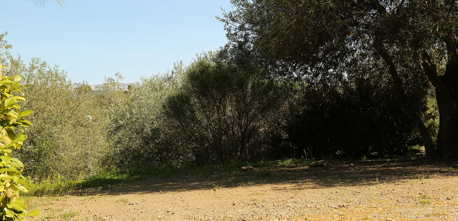 Le Camping